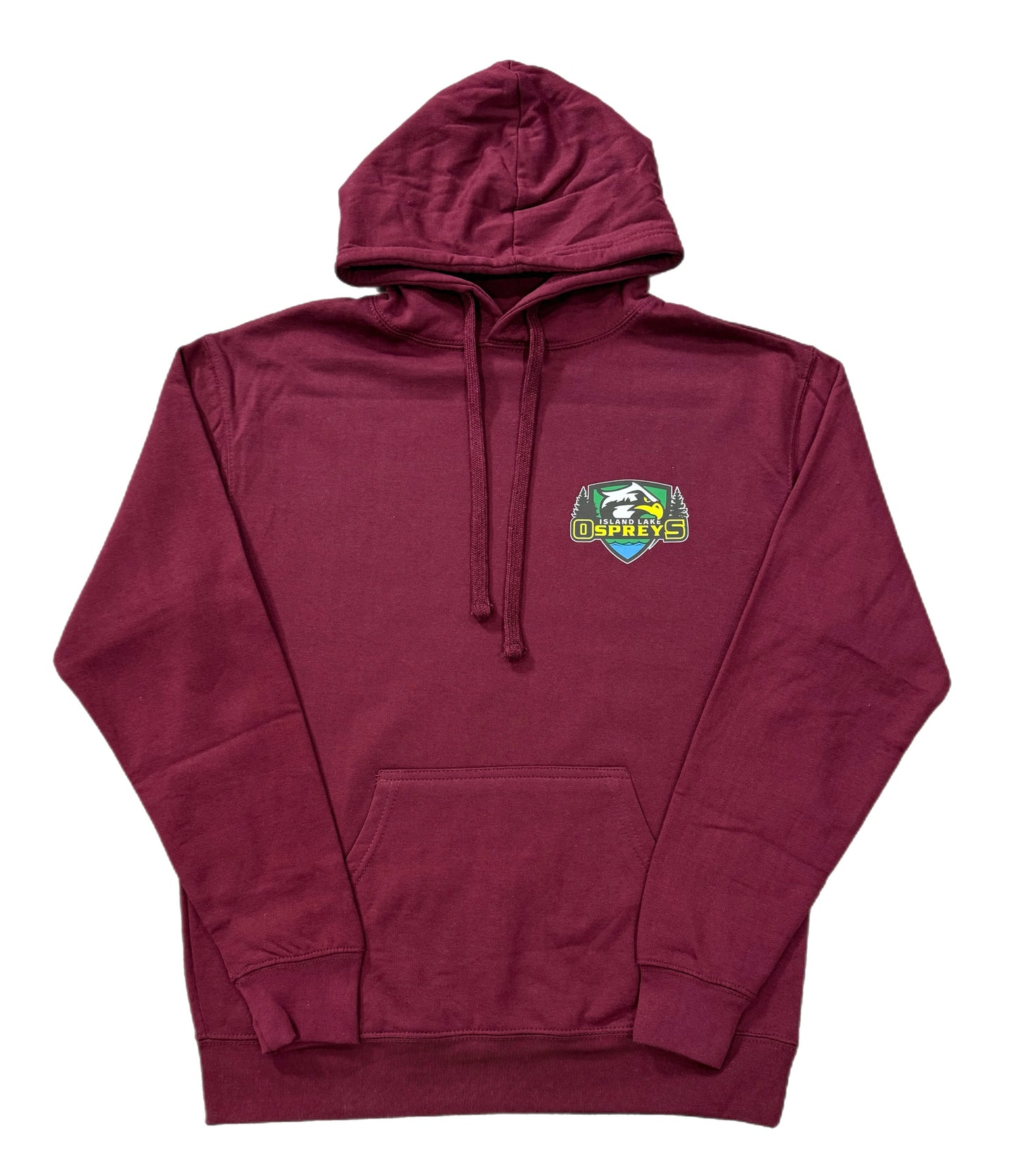 ILPS ONLY - 2025 Grad Hoodie - High quality