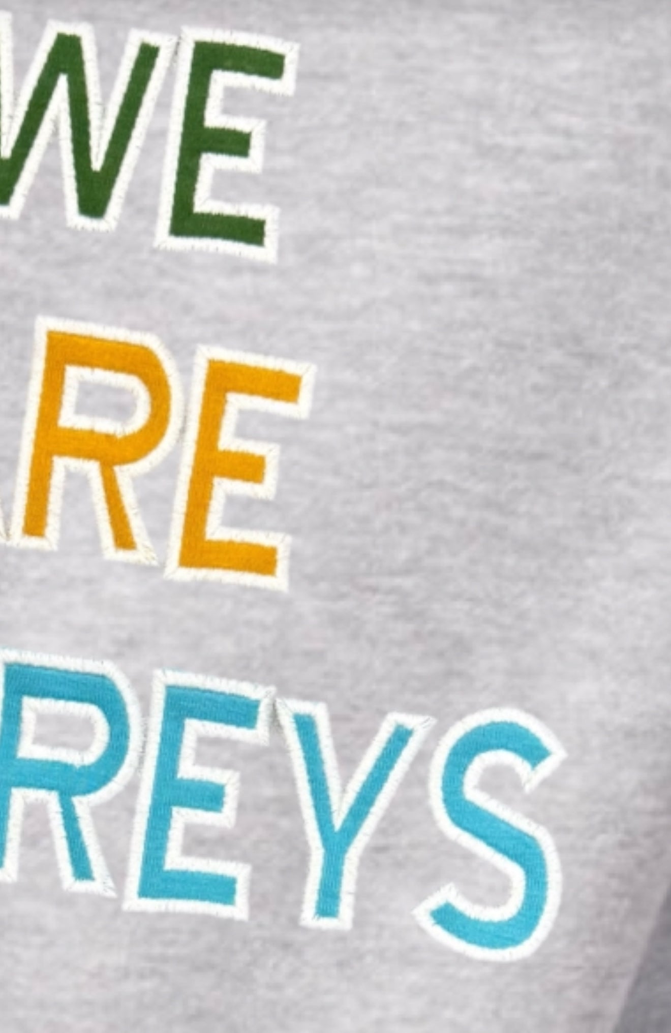 Embroidered - Youth Osprey ILPS High quality Hoodies