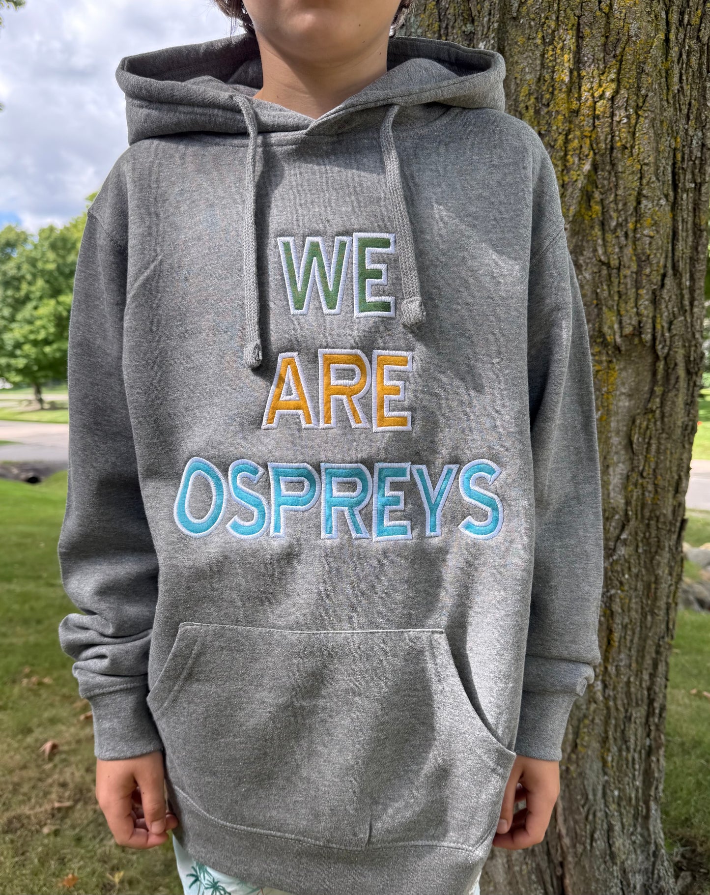 Embroidered - Adult Osprey ILPS High quality Hoodies
