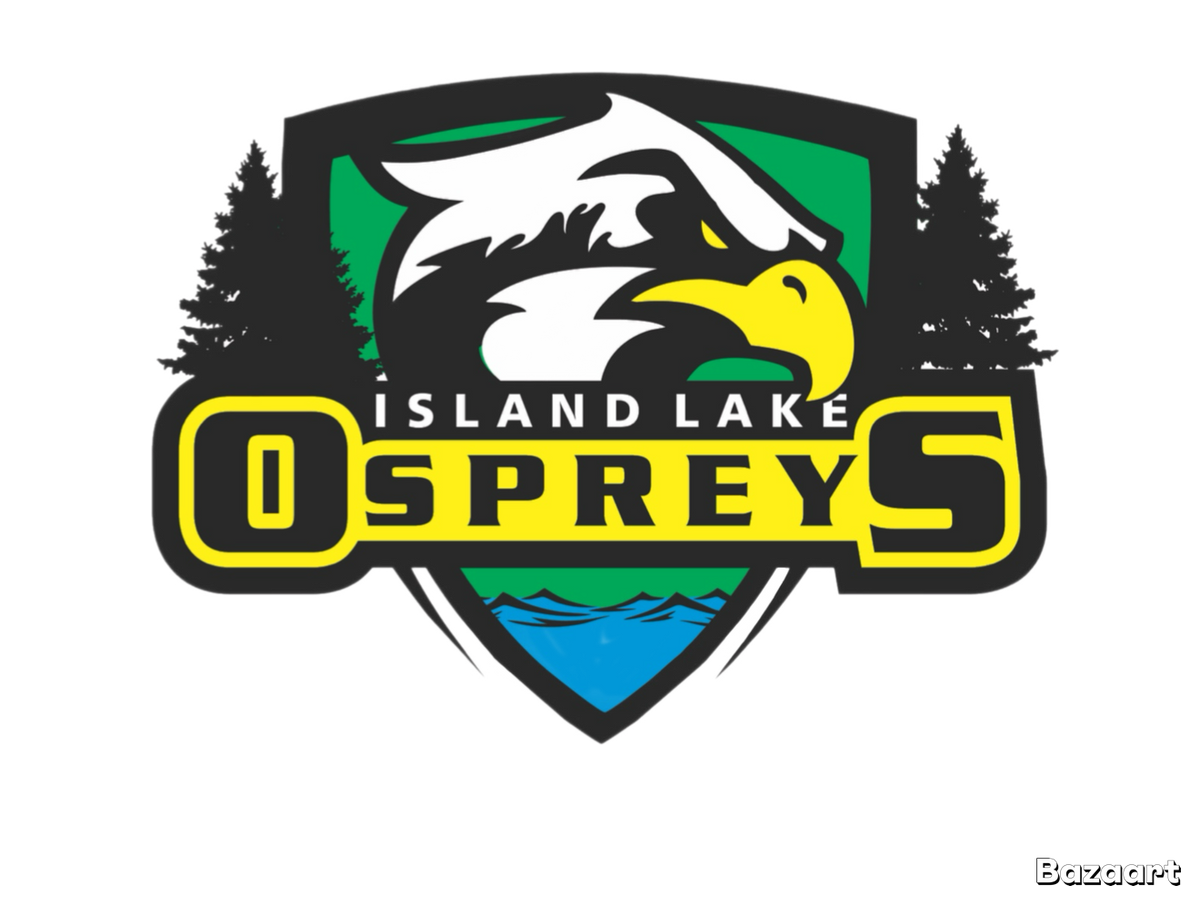 Island Lake Public School ONLY - 2027 Grad Hoodie - High quality
