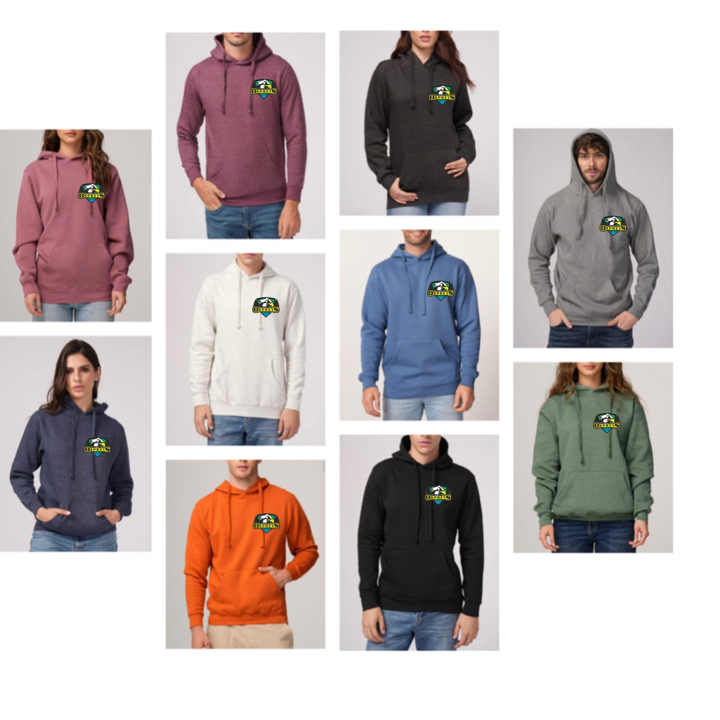 Adult - Osprey ILPS High quality Hoodies with small logo and school quote on the back