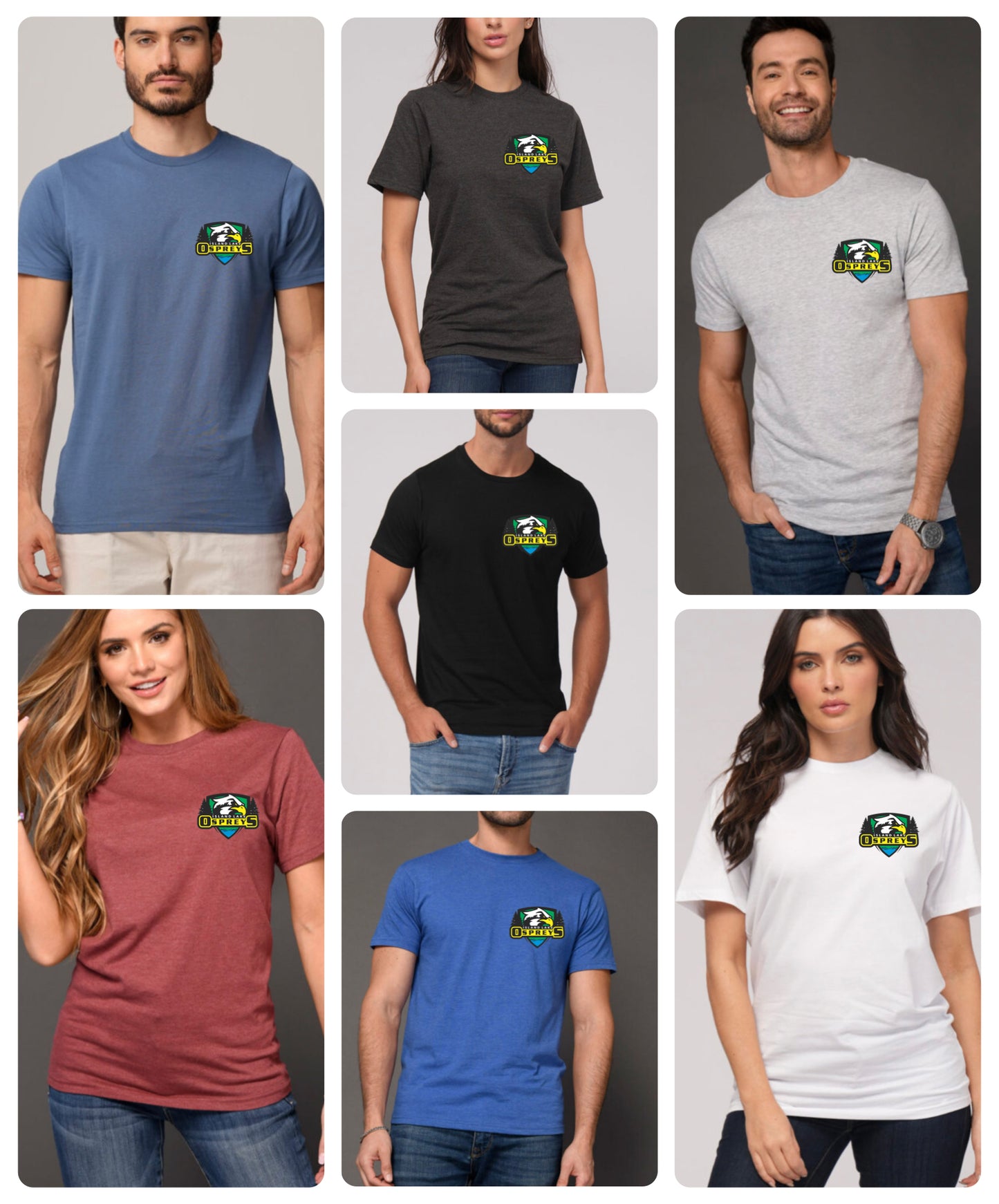 Adult - Osprey ILPS High quality t-shirt with small logo and school quote on the back