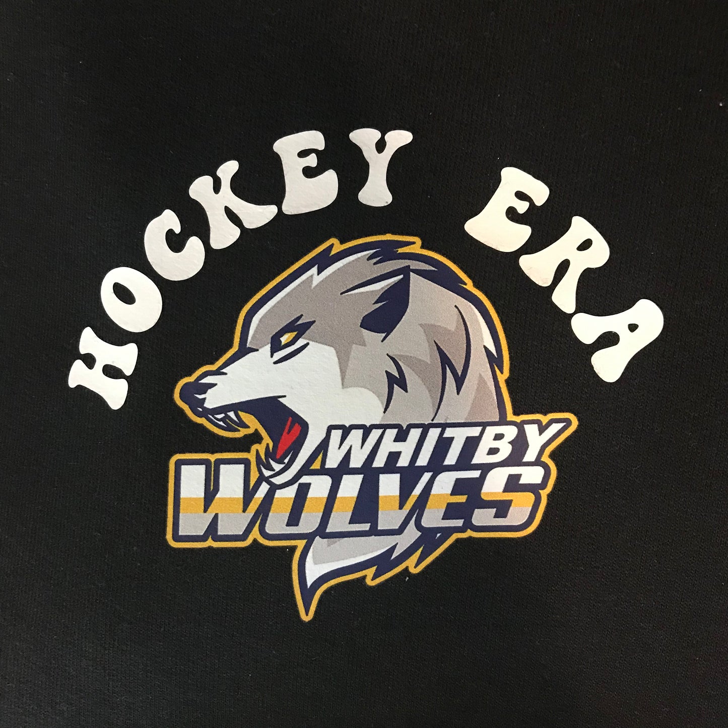 In my hockey mom/nan/grams/grandma/coach Era sweatshirts - Pick your design and your team